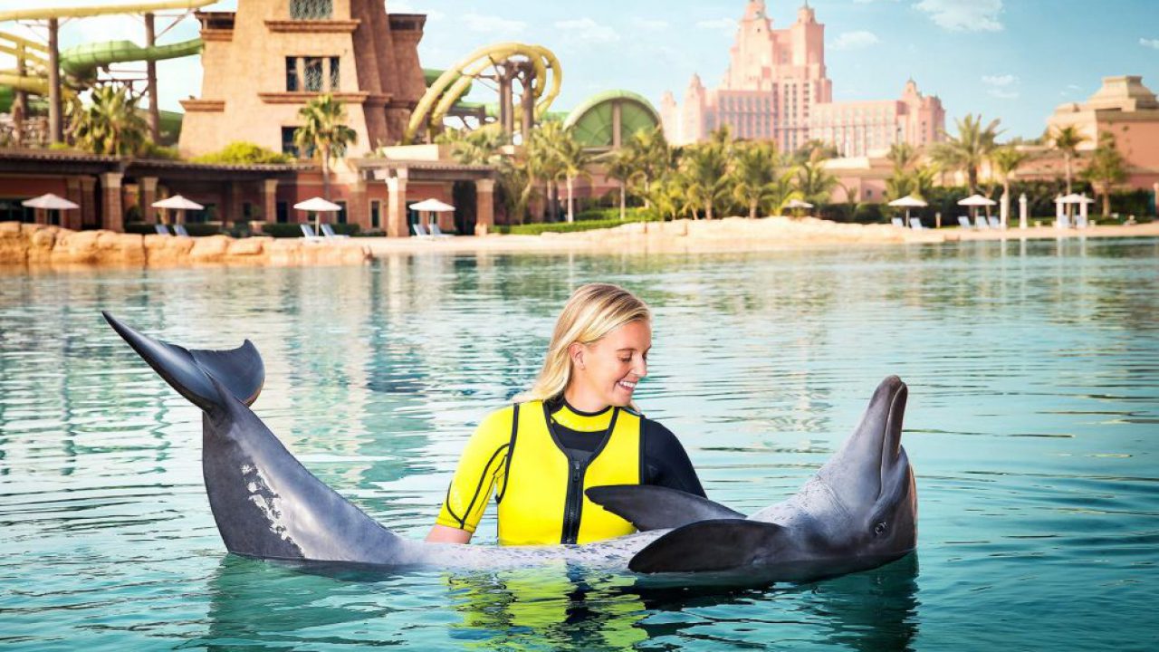 Où peut-on nager avec des dauphins ?