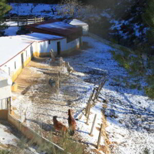 Vega Sierra Hotel Spa & Casas Rurales